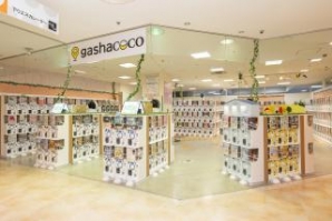 gashacoco