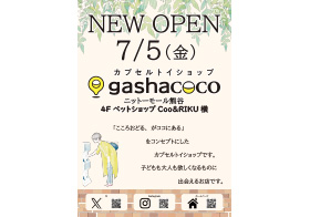 gashacoco 7月5日(金) NEW OPEN!!