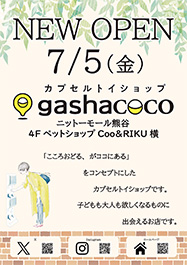 gashacoco 7月5日(金) NEW OPEN!!
